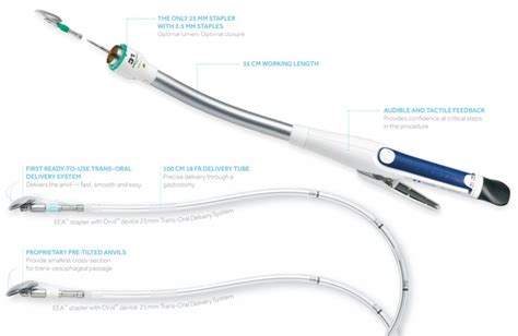 cvudie|Medical Surgical Portfolio .